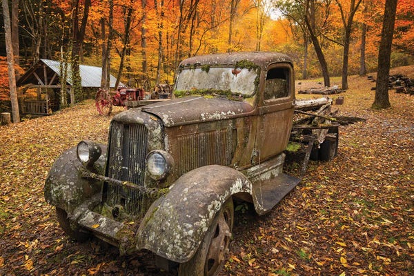 Old Car In The Autumn Forest
