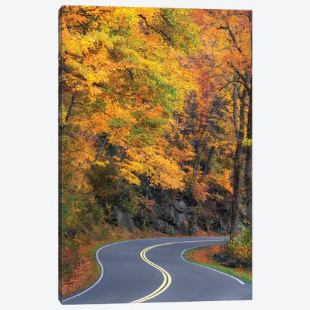 Curvy Road In The Colorful Smokies Canvas Print #JRP167} by Jonathan Ross Photography Canvas Wall Art