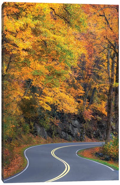 Curvy Road In The Colorful Smokies Canvas Art Print - Jonathan Ross Photography