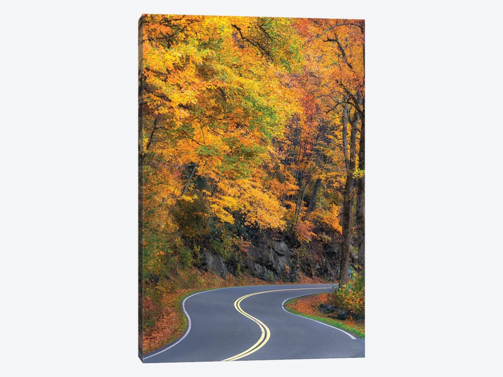 Curvy Road In The Colorful Smokies 1-piece Art Print