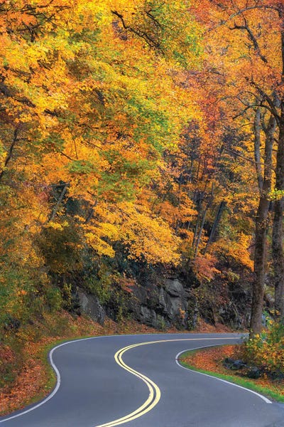 Curvy Road In The Colorful Smokies