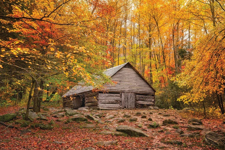 Fall Has Come Home
