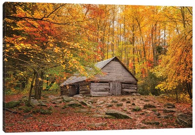 Fall Has Come Home Canvas Art Print - Jonathan Ross Photography