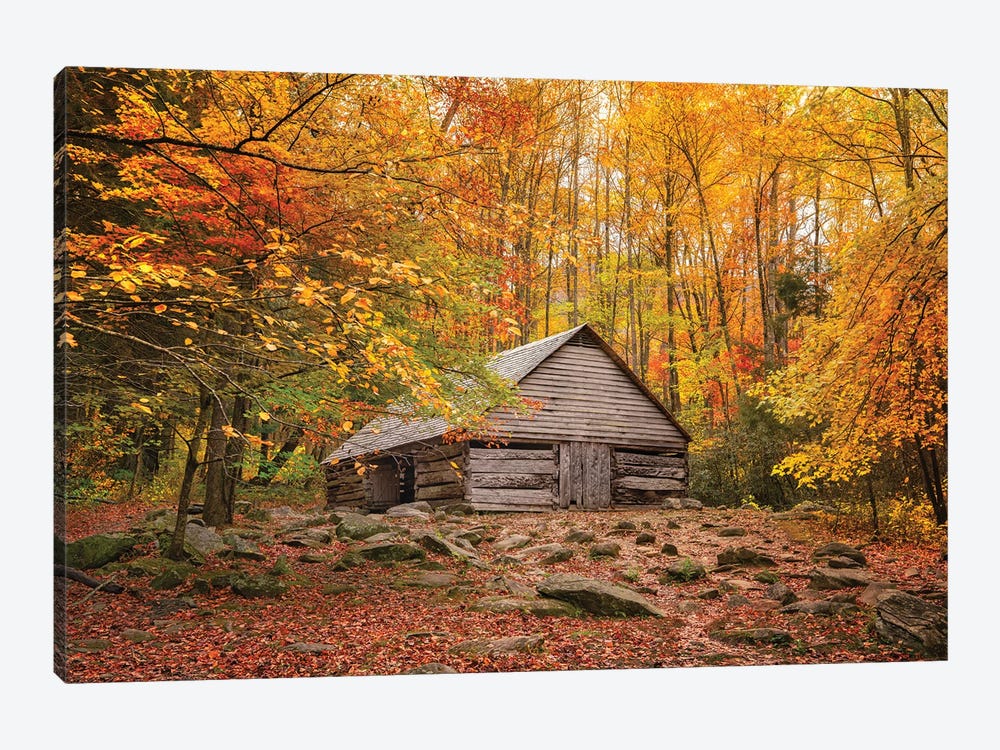 Fall Has Come Home by Jonathan Ross Photography 1-piece Canvas Artwork