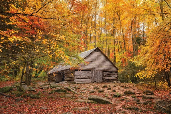 Fall Has Come Home