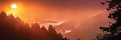 A Foggy Sunrise In The Smokies by Jonathan Ross Photography acrylic art print