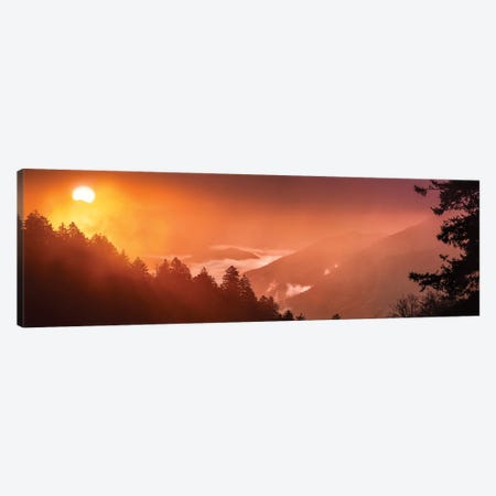 A Foggy Sunrise In The Smokies Canvas Print #JRP170} by Jonathan Ross Photography Canvas Wall Art