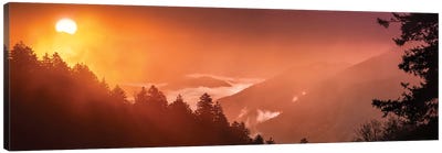A Foggy Sunrise In The Smokies Canvas Art Print - Jonathan Ross Photography