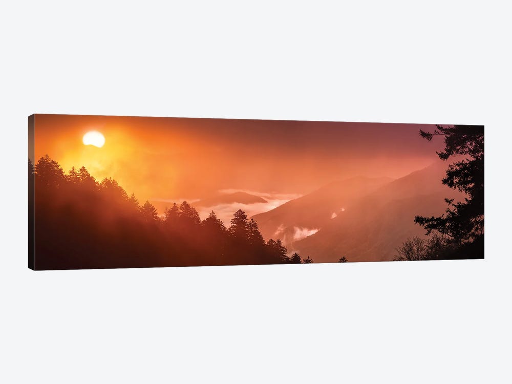 A Foggy Sunrise In The Smokies by Jonathan Ross Photography 1-piece Canvas Art Print