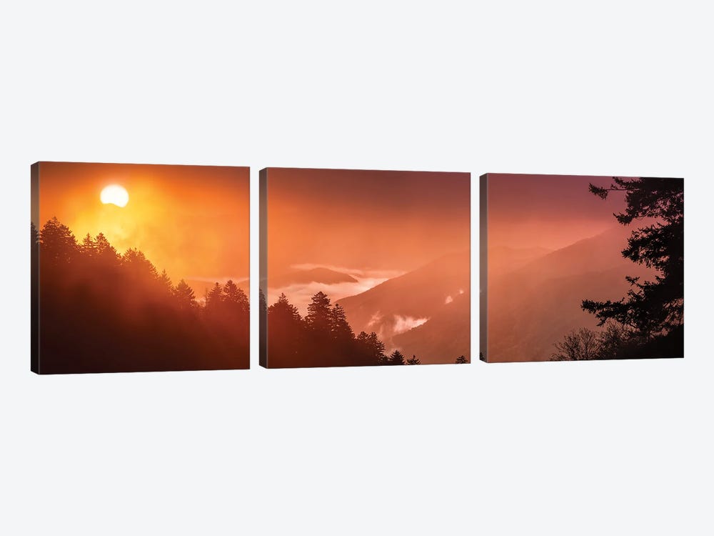 A Foggy Sunrise In The Smokies by Jonathan Ross Photography 3-piece Art Print