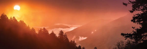 A Foggy Sunrise In The Smokies