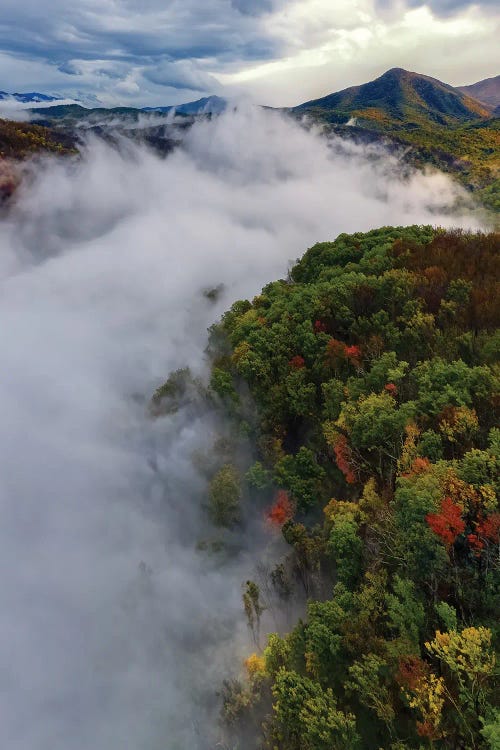 Smoky Mountain'S Fog