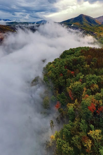 Smoky Mountain'S Fog