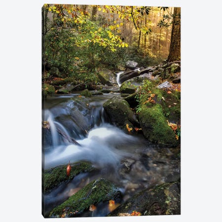 A Soothing Stream Canvas Print #JRP173} by Jonathan Ross Photography Canvas Artwork