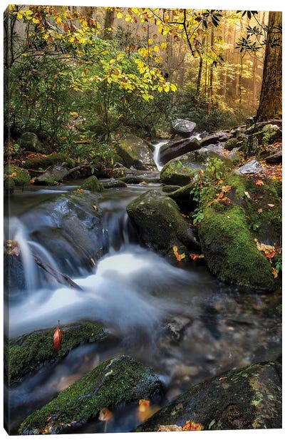 A Soothing Stream Canvas Art Print - Jonathan Ross Photography