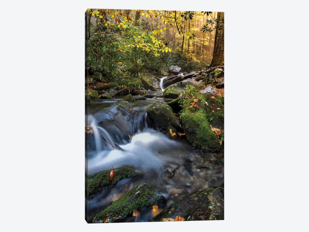 A Soothing Stream by Jonathan Ross Photography 1-piece Canvas Art