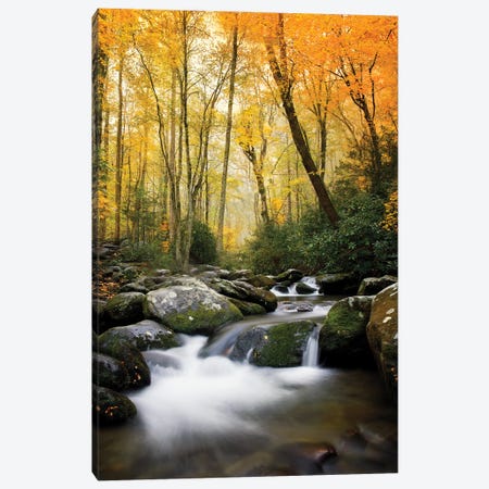 Sunset Glow Stream Canvas Print #JRP174} by Jonathan Ross Photography Canvas Print
