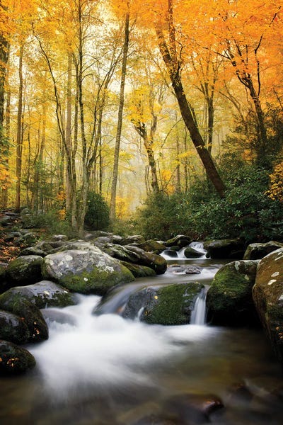 Jonathan Ross Photography: Sunset Glow Stream by Jonathan Ross Photography