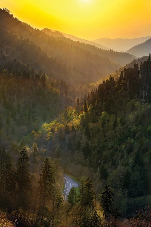 Sunset Over A Path Through The Smokies by Jonathan Ross Photography wall art