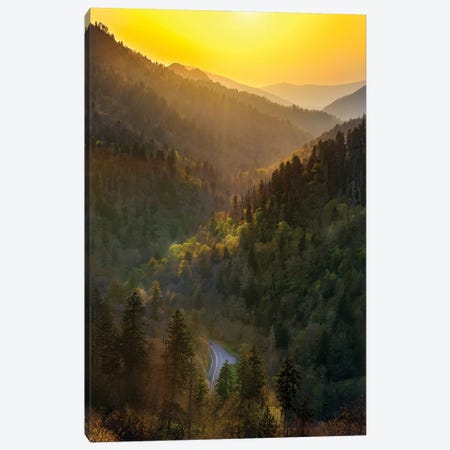 Sunset Over A Path Through The Smokies Canvas Print #JRP176} by Jonathan Ross Photography Canvas Art Print