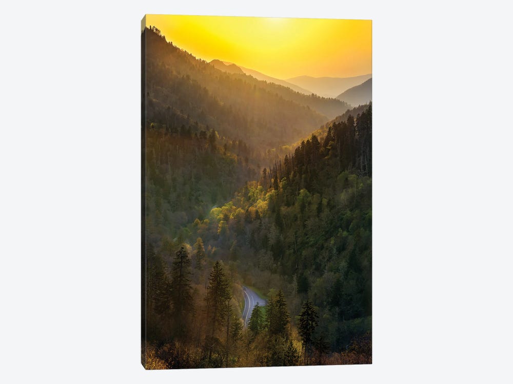Sunset Over A Path Through The Smokies by Jonathan Ross Photography 1-piece Canvas Art Print