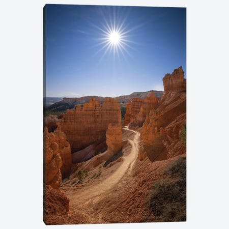 Bryce Canyon National Park Canvas Print #JRP182} by Jonathan Ross Photography Art Print