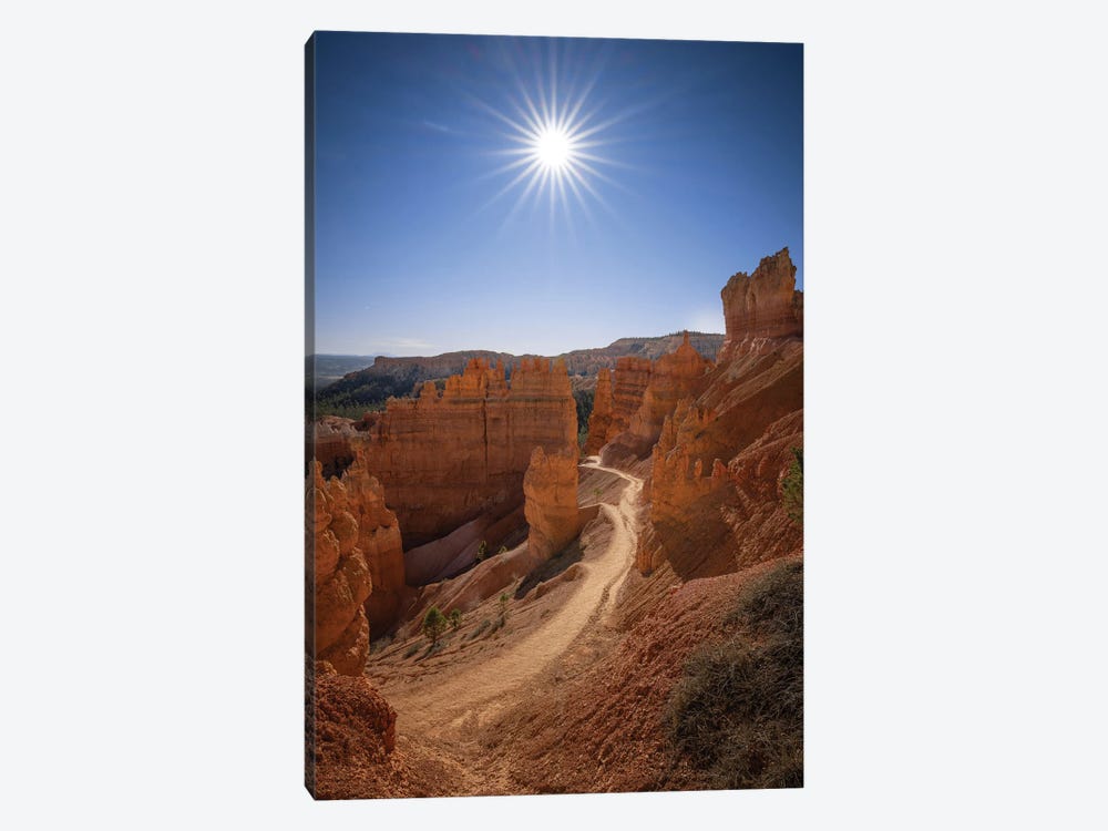 Bryce Canyon National Park by Jonathan Ross Photography 1-piece Canvas Art