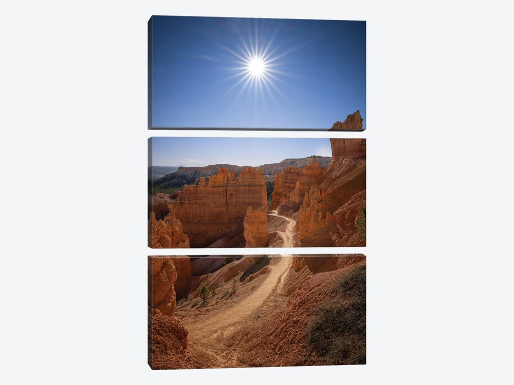 Bryce Canyon National Park by Jonathan Ross Photography 3-piece Canvas Artwork