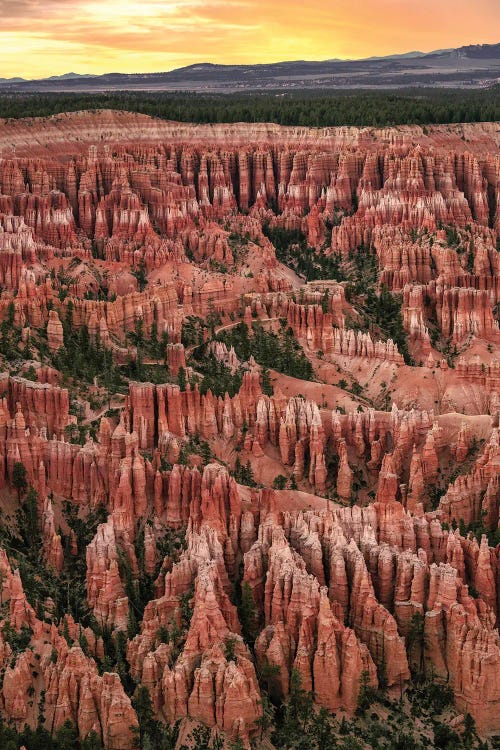 Bryce Canyon National Park Sunset by Jonathan Ross Photography wall art