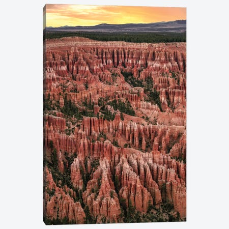 Bryce Canyon National Park Sunset Canvas Print #JRP184} by Jonathan Ross Photography Canvas Wall Art