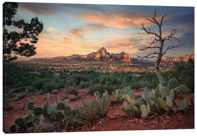 Sedona Arizona Skyline Canvas Art Print - Succulent Art
