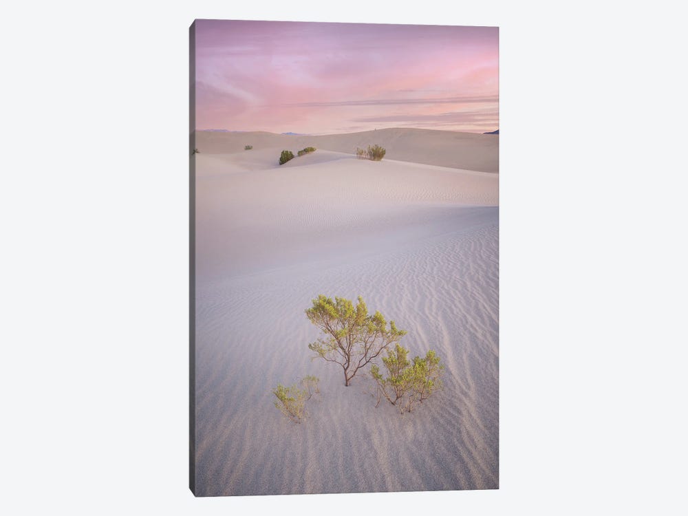 Pink Sand Dunes by Jonathan Ross Photography 1-piece Canvas Print