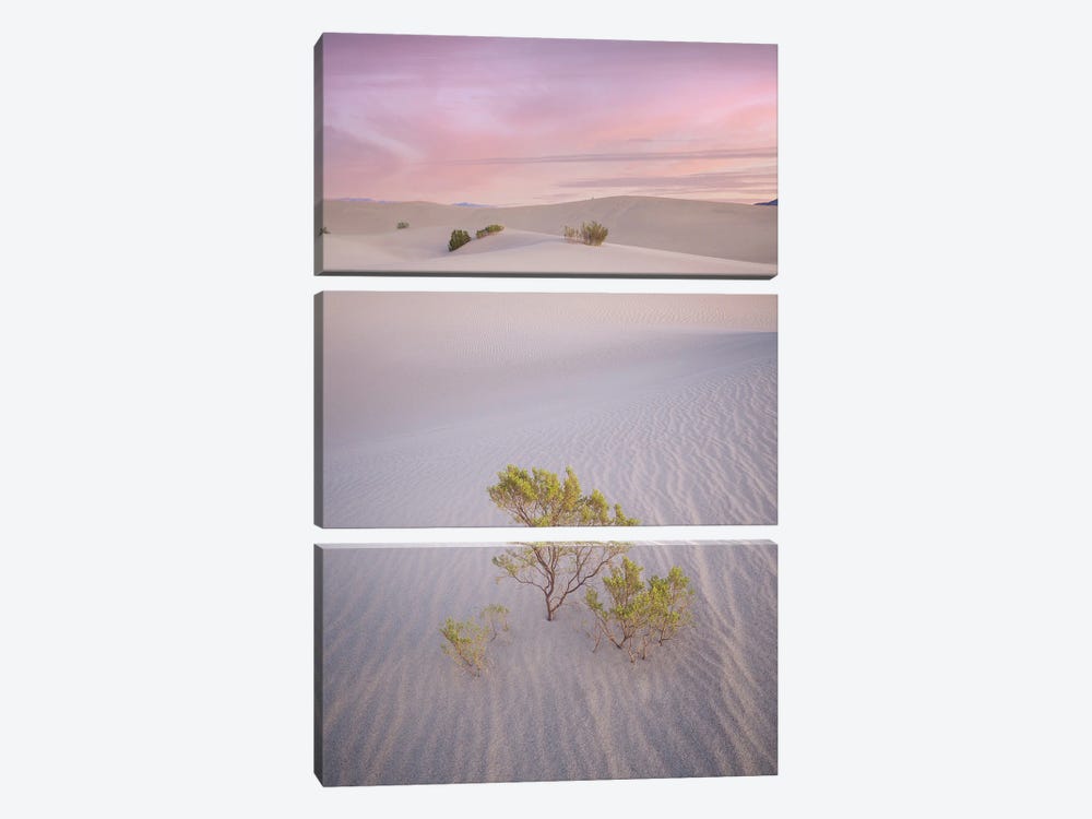 Pink Sand Dunes by Jonathan Ross Photography 3-piece Canvas Print