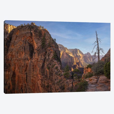 Angels Landing Hike Canvas Print #JRP197} by Jonathan Ross Photography Canvas Print