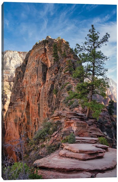 Angels Landing Canvas Art Print - Mountains Scenic Photography