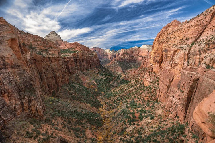 Zion National Park Canyon Overlook by Jonathan Ross Photography wall art