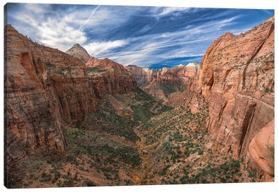 Zion National Park Canyon Overlook Canvas Art Print - Canyon Art