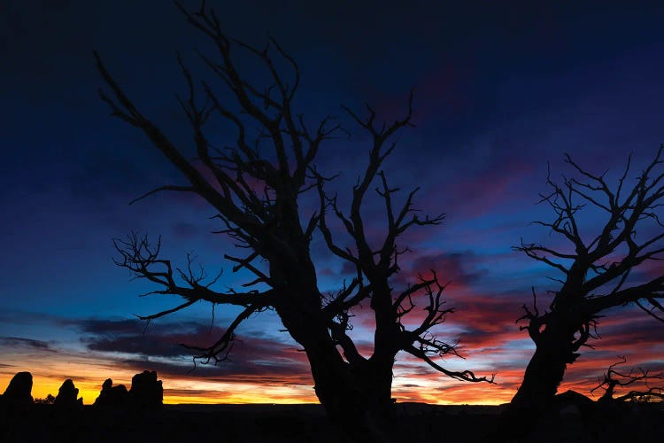 Night Sky In Arches National Park