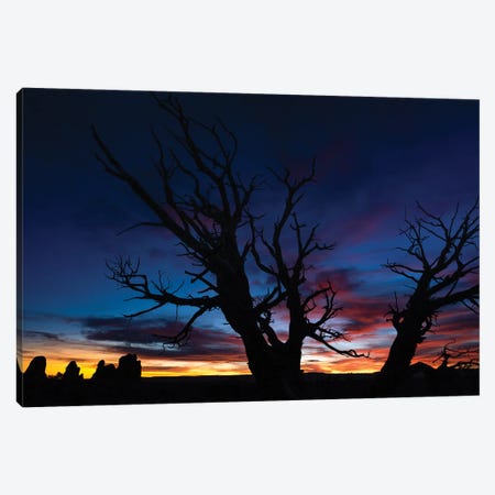 Night Sky In Arches National Park Canvas Print #JRP211} by Jonathan Ross Photography Canvas Art Print