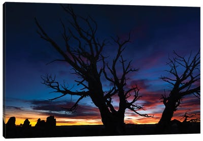 Night Sky In Arches National Park Canvas Art Print - Arches National Park