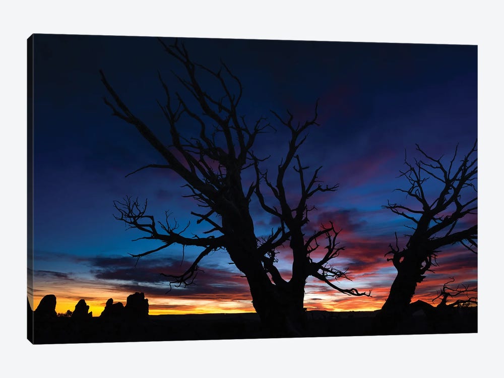 Night Sky In Arches National Park by Jonathan Ross Photography 1-piece Canvas Art