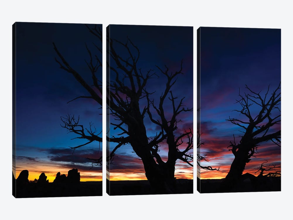 Night Sky In Arches National Park by Jonathan Ross Photography 3-piece Canvas Wall Art