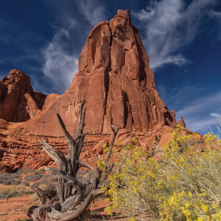 Arches National Park
