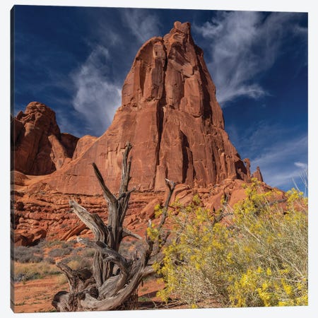 Arches National Park Canvas Print #JRP223} by Jonathan Ross Photography Canvas Wall Art