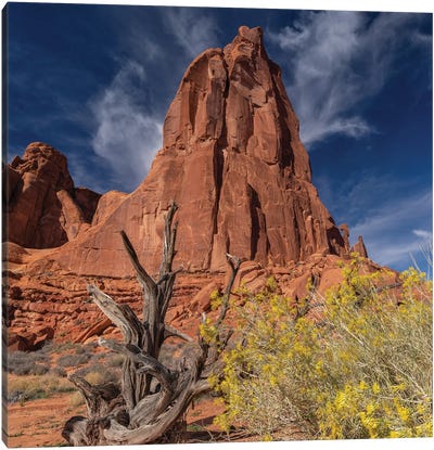 Arches National Park Canvas Art Print - Desert Landscape Photography