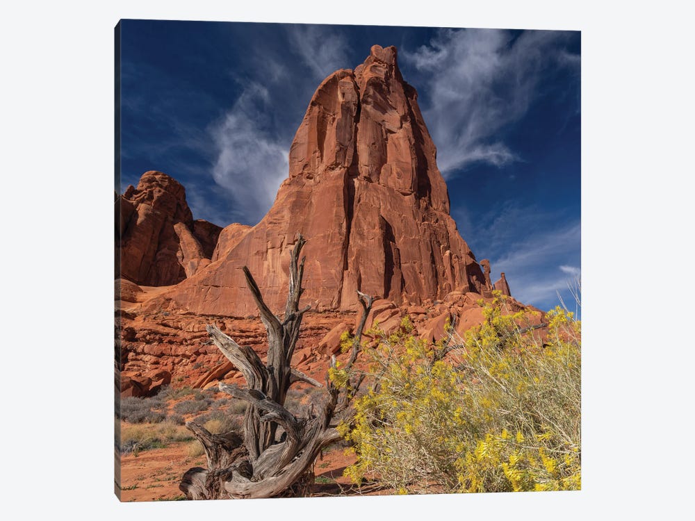 Arches National Park by Jonathan Ross Photography 1-piece Art Print