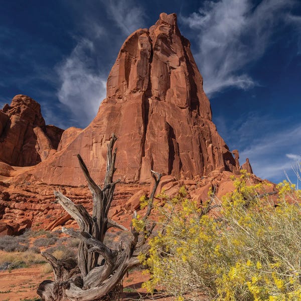 Arches National Park