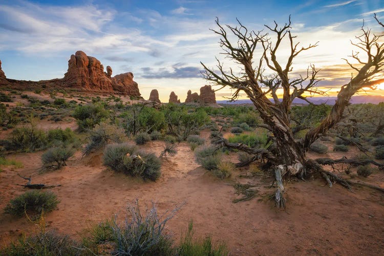 Sunset And Sand At Arches National Park