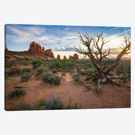 Sunset And Sand At Arches National Park Canvas Print #JRP230} by Jonathan Ross Photography Art Print