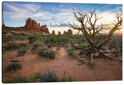 Sunset And Sand At Arches National Park Canvas Art Print - Arches National Park